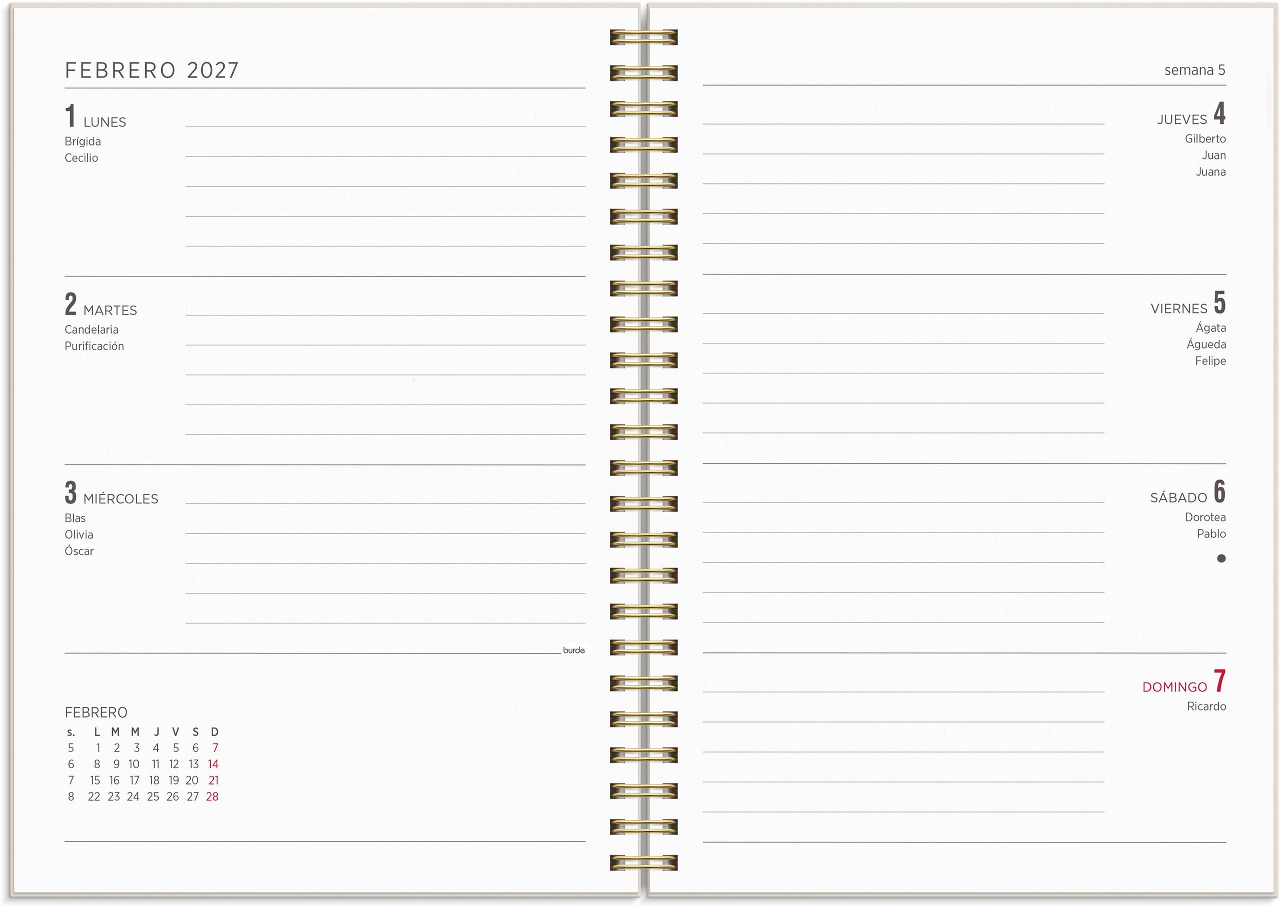 Calendario 26/27 Senator A5 Story Flores