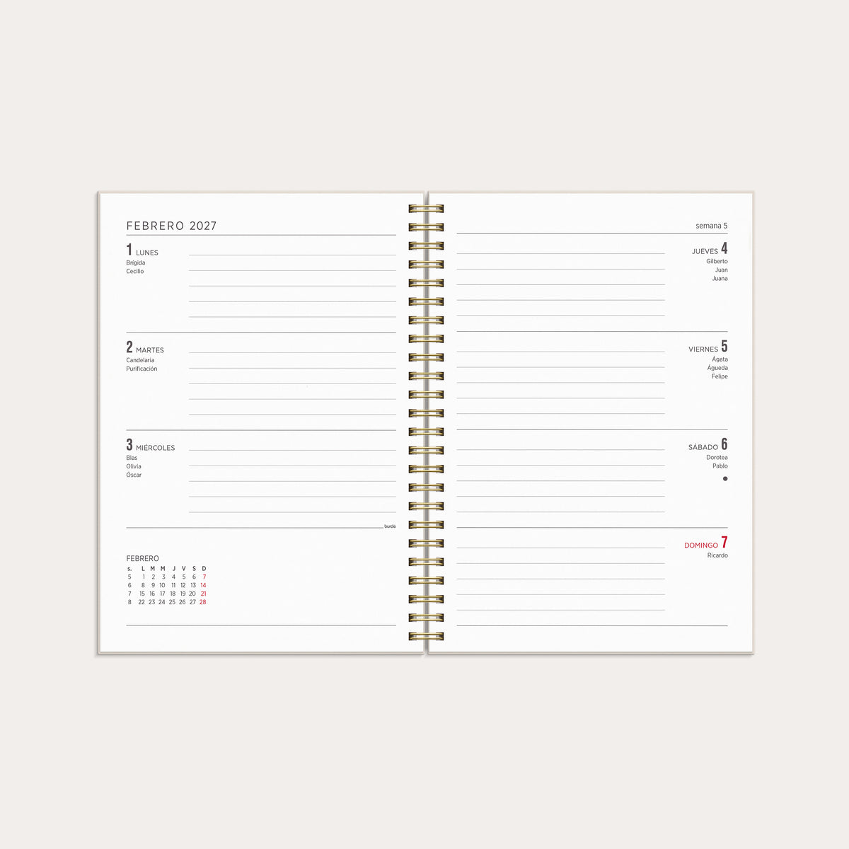 Calendario 26/27 Senator A5 Story Flores