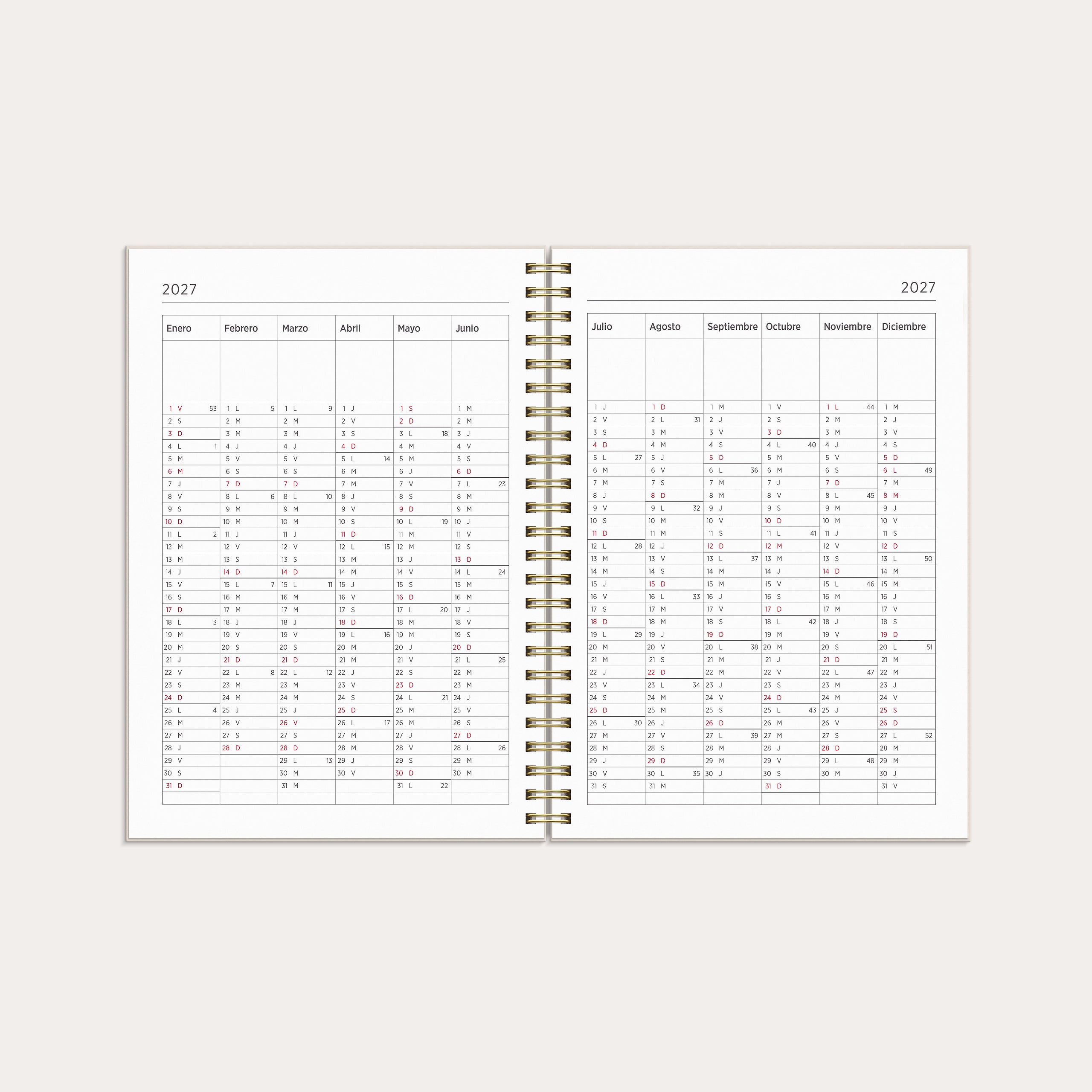 Calendario 26/27 Senator A5 Story Flores