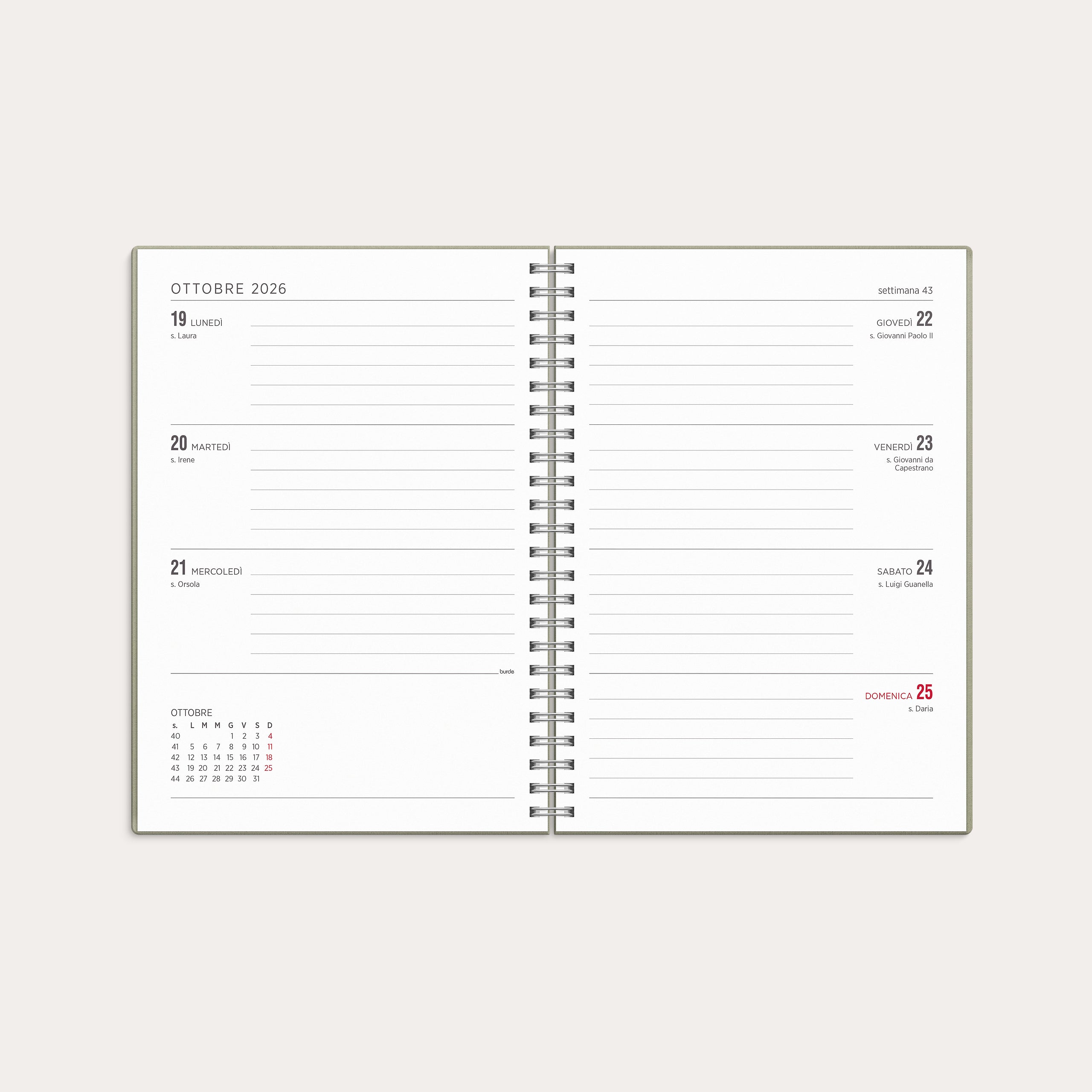 Calendario 26/27 Senator A5 Story Foglia