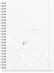 Calendrier 26/27 Senator A5 Étoile