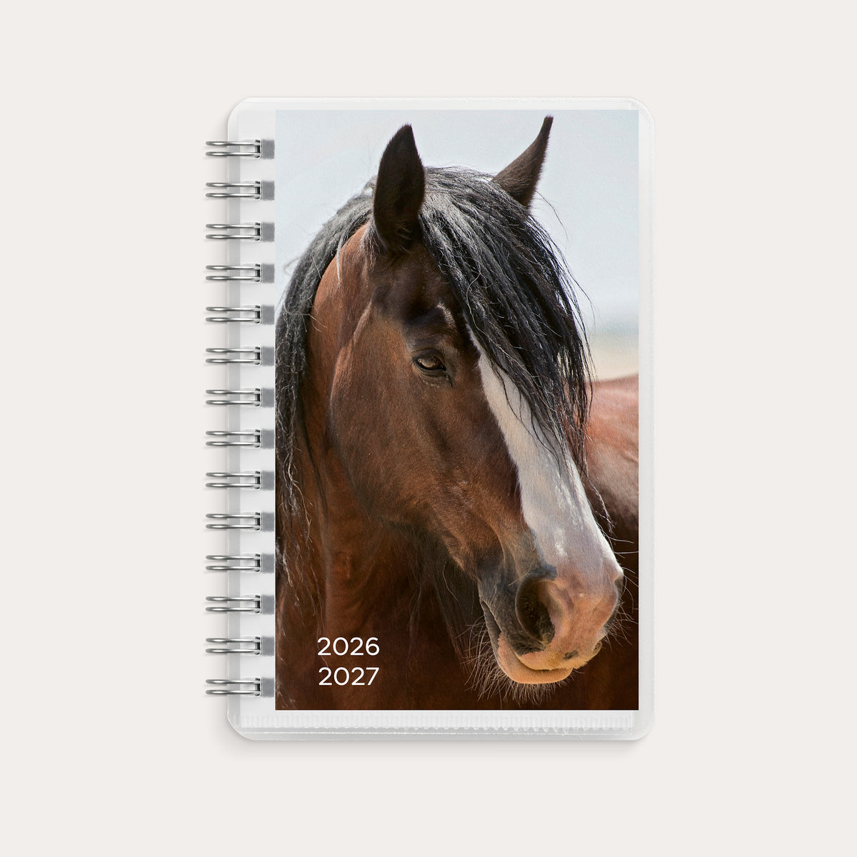 Kalenteri Compact Pets 26/27
