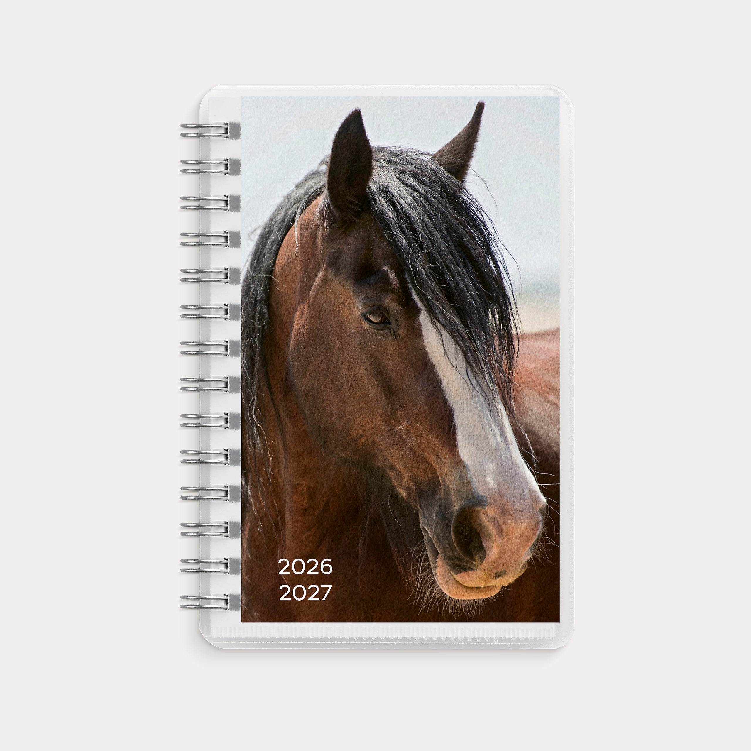 Kalenteri Compact Pets 26/27