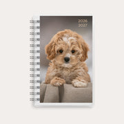 Kalenteri Compact Pets 26/27