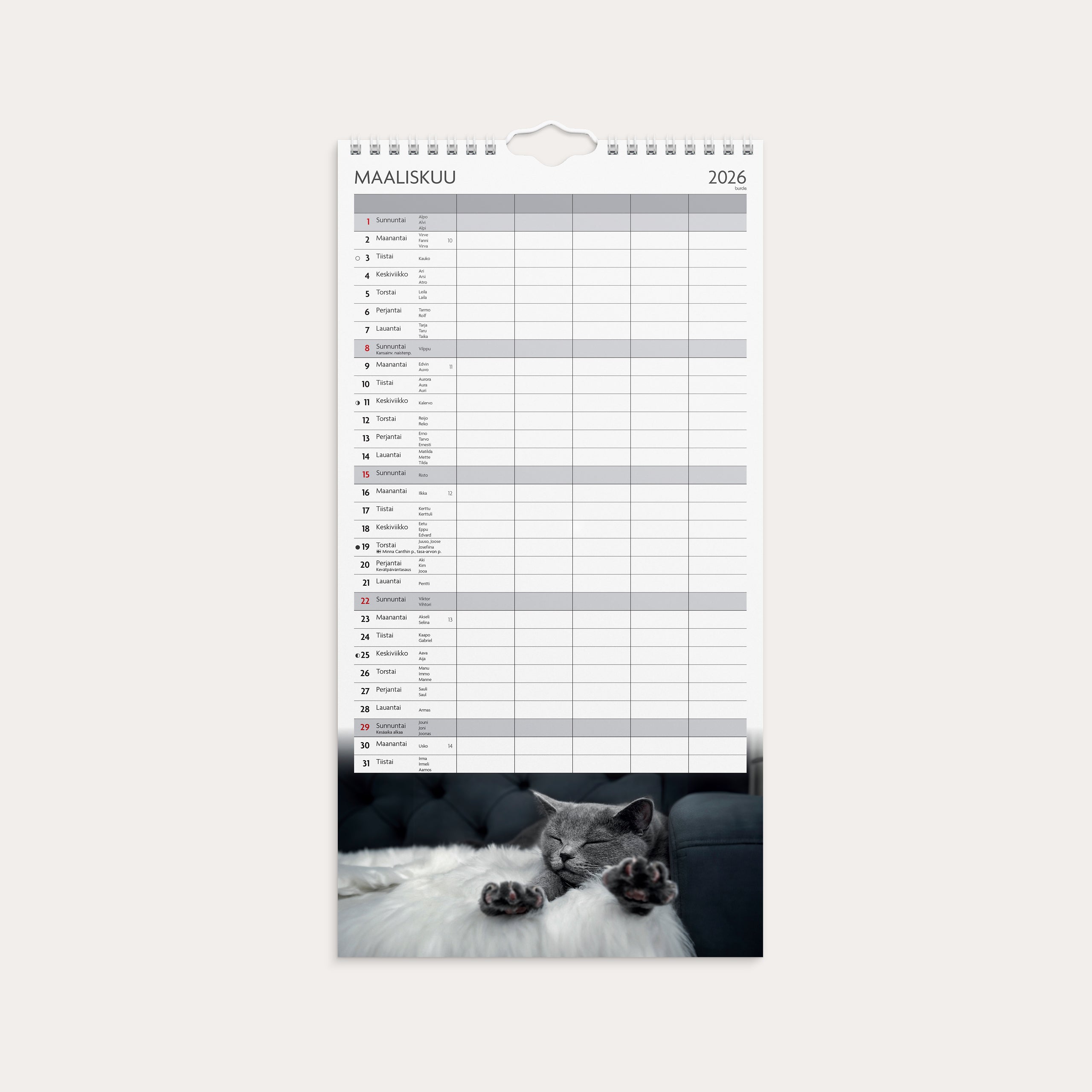 Perhekalenteri 2026 Kissat