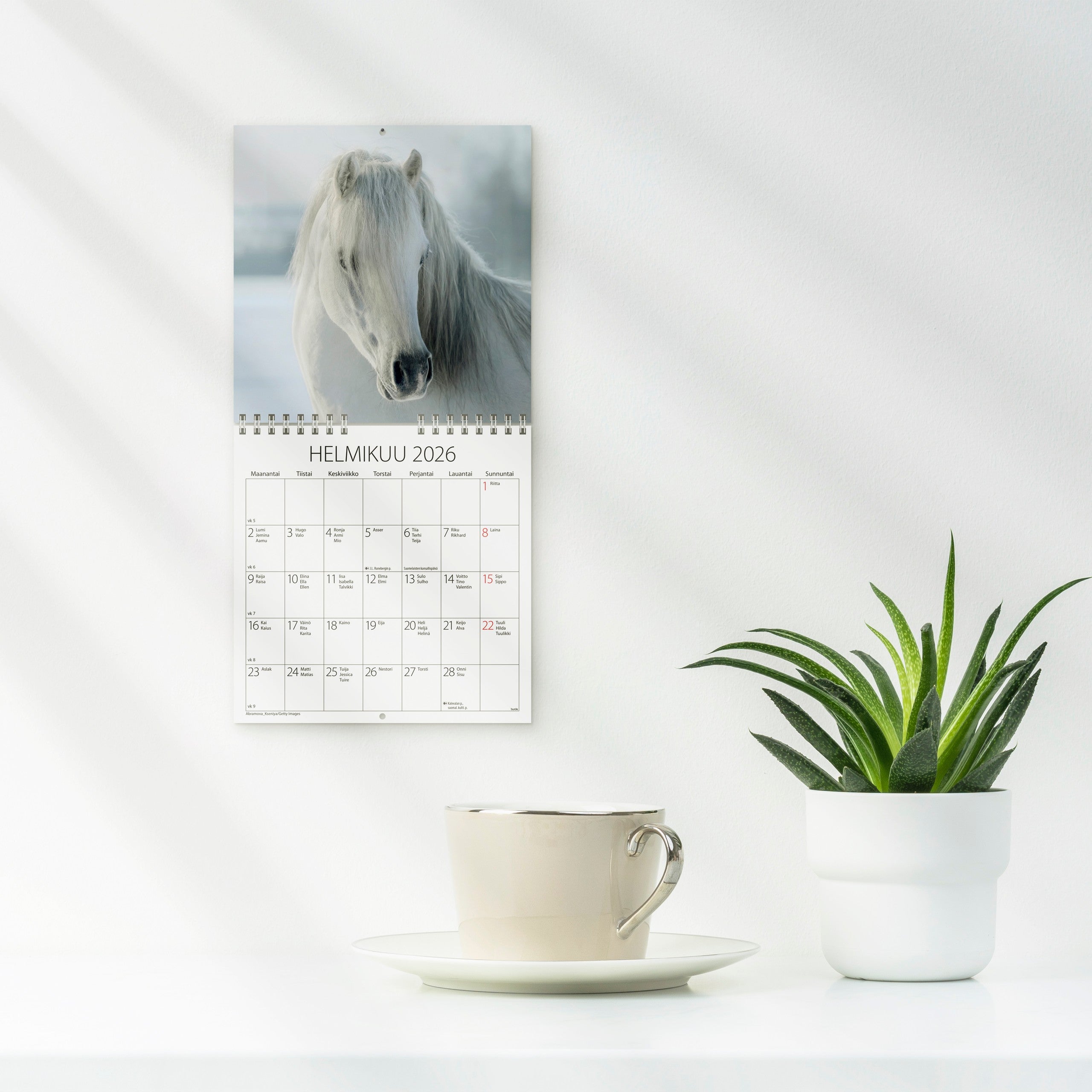 Seinäkalenteri 2026 Ponit