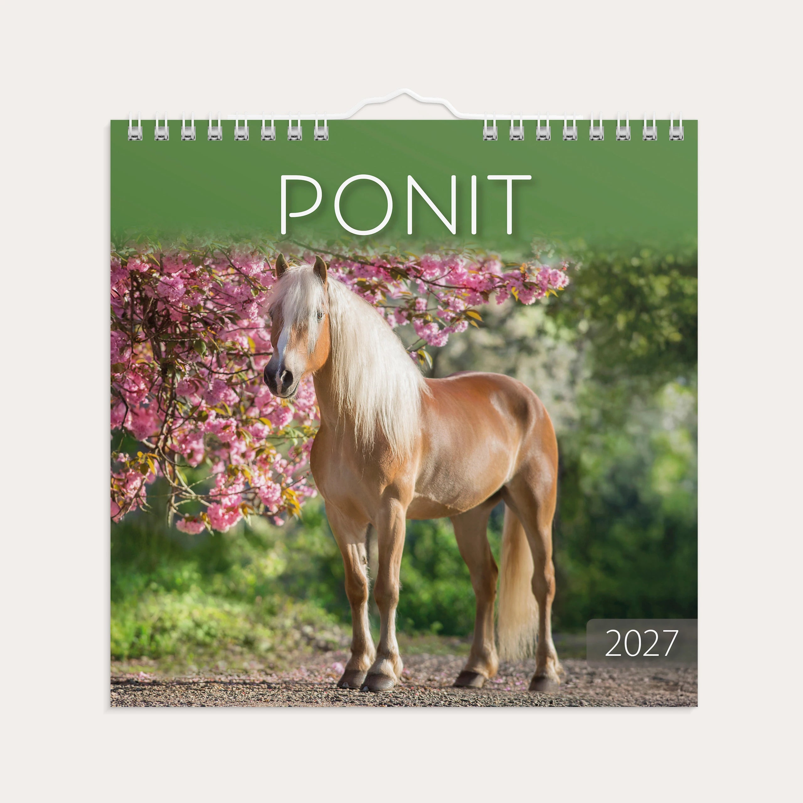 Seinäkalenteri 2027 Ponit