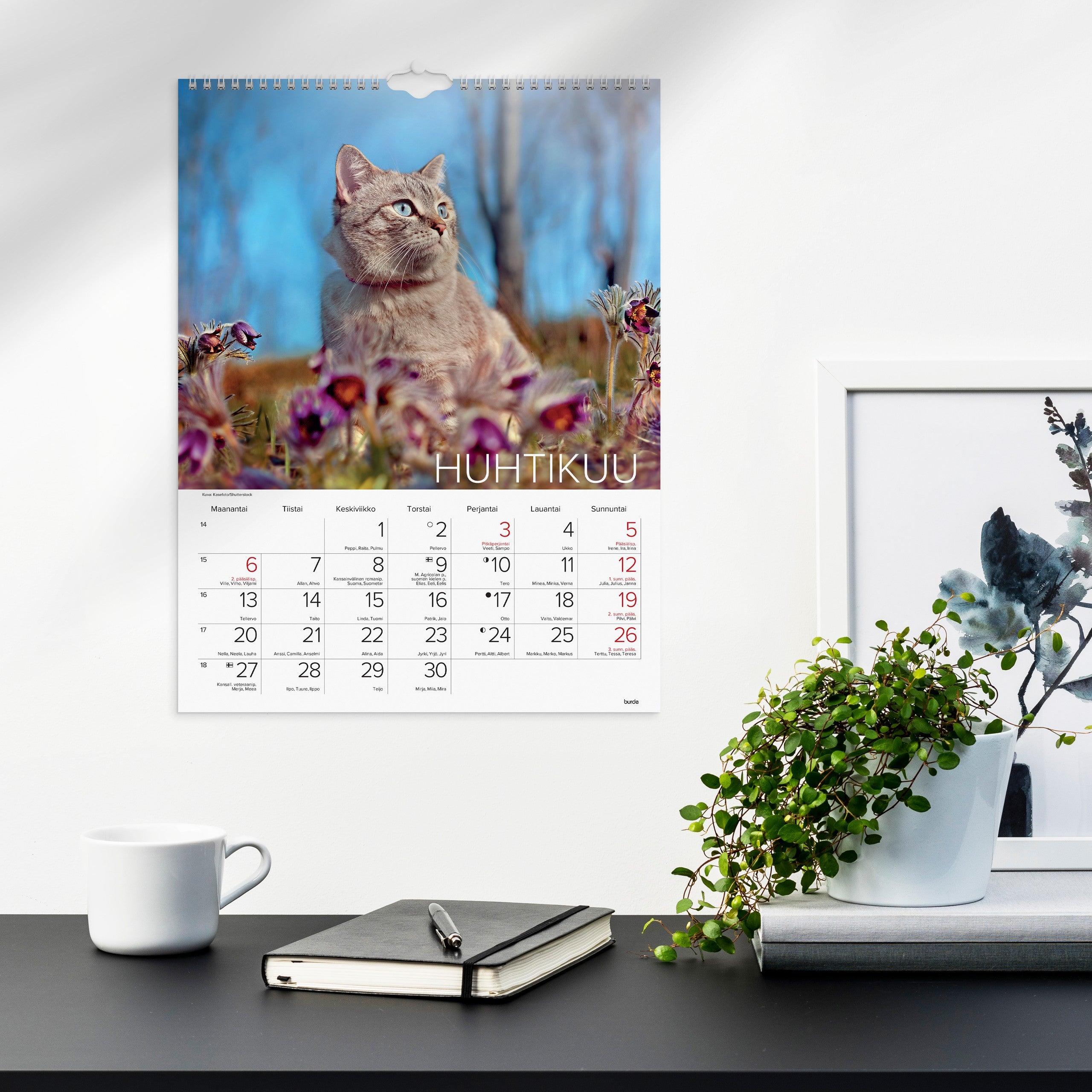 Seinäkalenteri 2026  Kissat