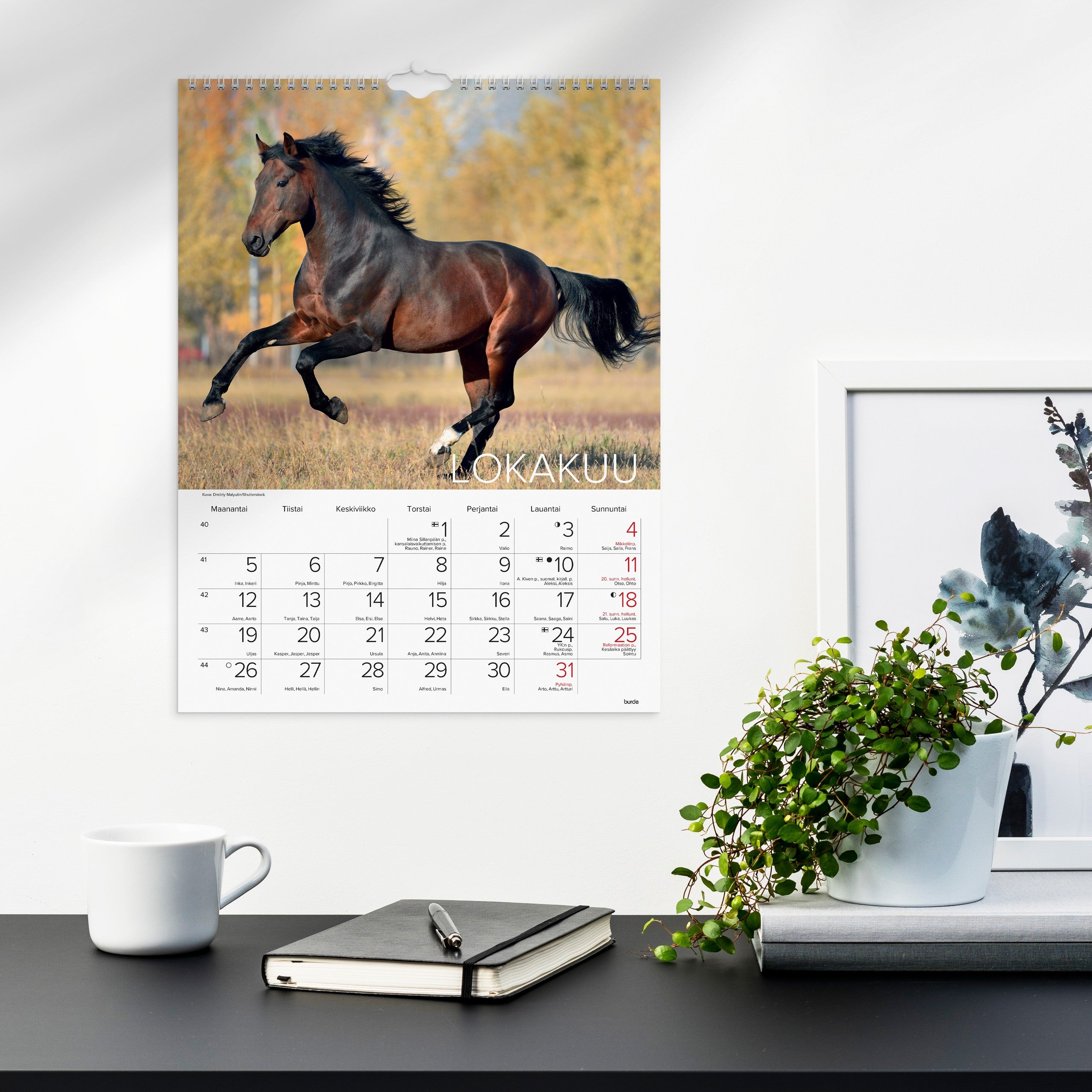 Seinäkalenteri 2026 Hevoset