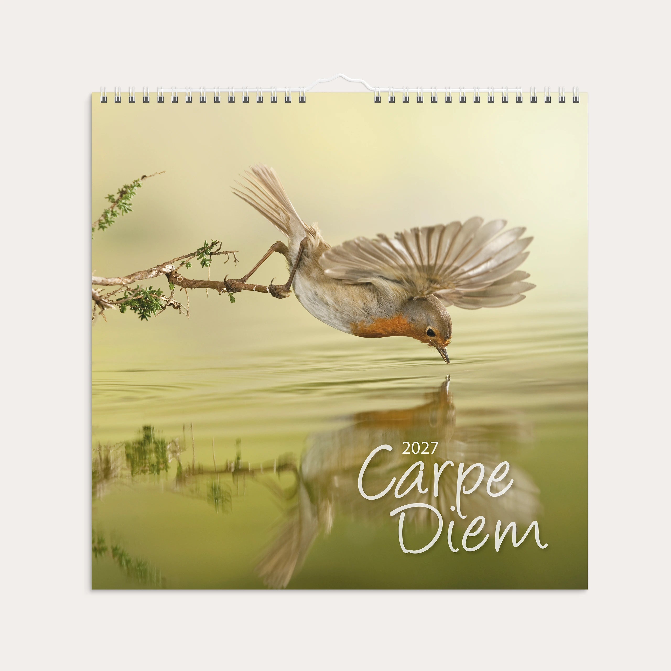 Seinäkalenteri 2027 Carpe Diem